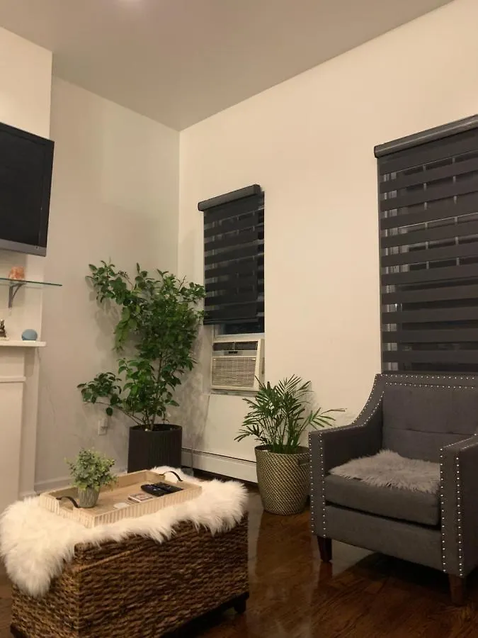 Charming Apartment In Bushwick New York